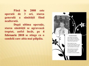 Diapozitiv12