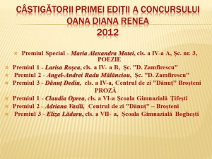 Diapozitiv23