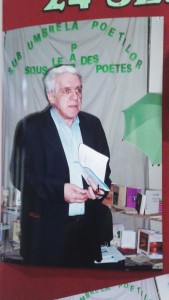 Mircea Dinutz05